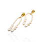 Rani Freshwater Pearl Drop Earrings