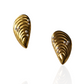 Seashells Pearl Embellish Moti Earrings